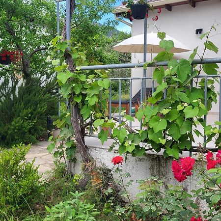 Ioannis Houses - Gemuetliches Ferienhaus Im Olivenhain Skala Potamia  Bagian luar foto