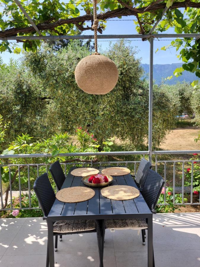 Ioannis Houses - Gemuetliches Ferienhaus Im Olivenhain Skala Potamia  Bagian luar foto