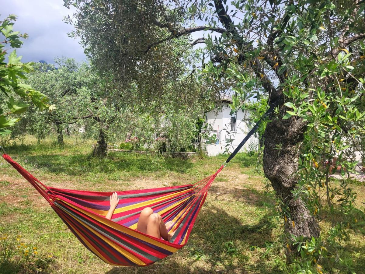 Ioannis Houses - Gemuetliches Ferienhaus Im Olivenhain Skala Potamia  Bagian luar foto
